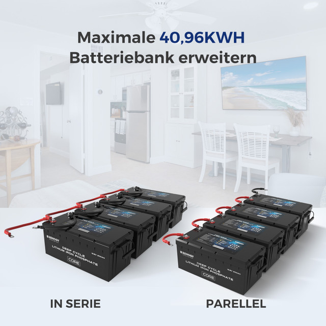 Renogy LiFePo4 12V 200Ah Lithium Batterie BMS 5000 Zyklen – Bild 4