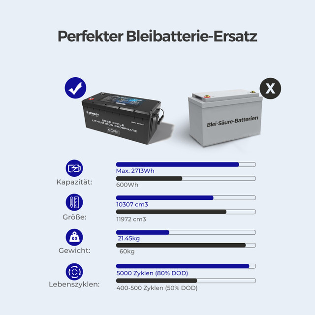 Renogy LiFePo4 12V 200Ah Lithium Batterie BMS 5000 Zyklen – Bild 7
