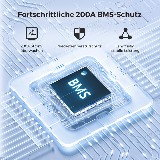 Renogy LiFePo4 12V 200Ah Lithium Batterie BMS 5000 Zyklen – Bild 5